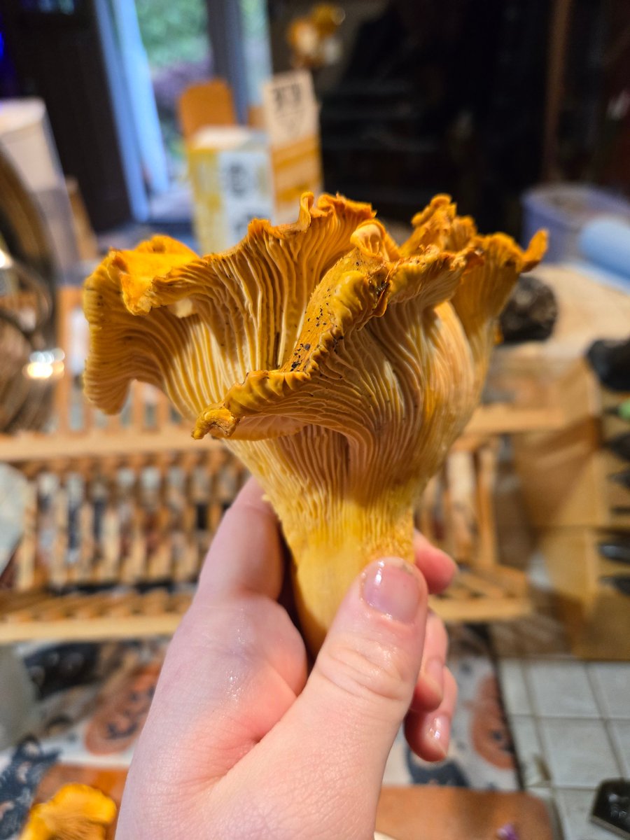 I Touch Dirt dot com tweet media