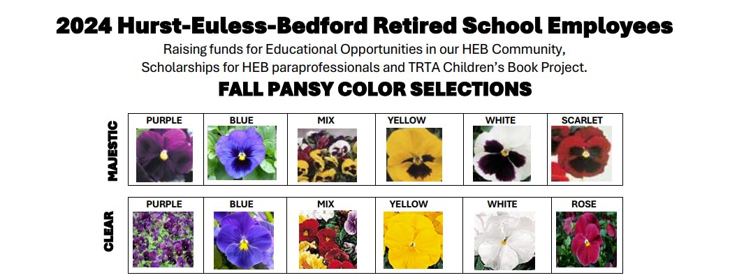 HEBChamber's tweet image. 🌸 Get ready for a pop of color in your garden this fall with the HEB Retired School Employees Fall Pansy sale! Don't miss out on these beautiful blooms. Click here to be the first to access the sale: conta.cc/4dsY244 🌼 #PansySale #FallGarden #HEBRetiredSchoolEmployees