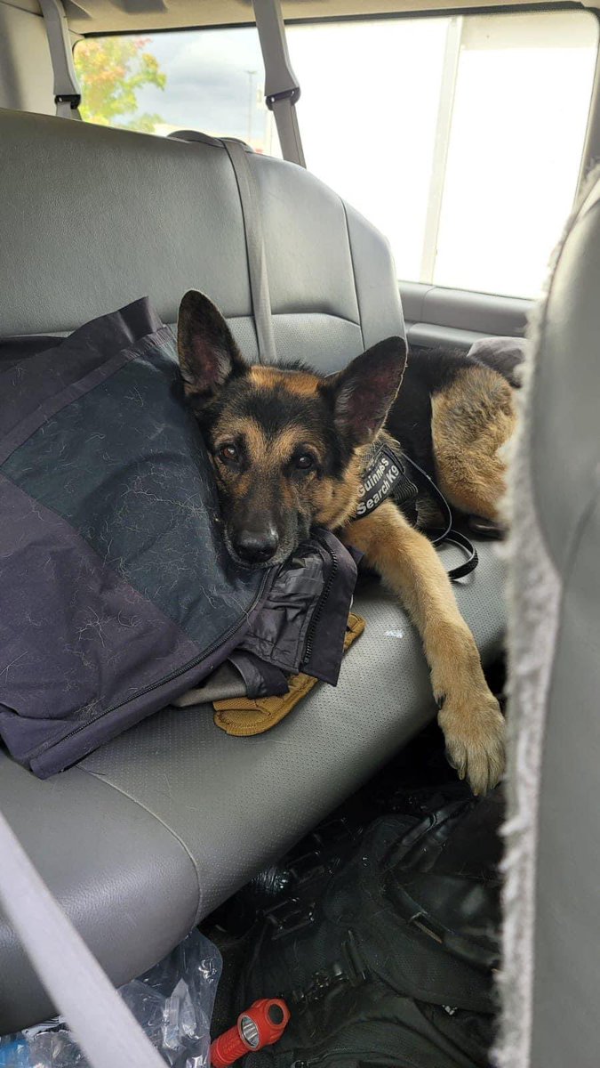 Indiana Task Force 1 tweet media