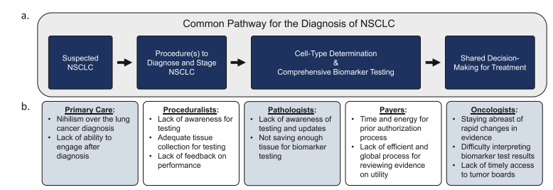 #ACSNLCRT supports comprehensive timely biomarker testing for all eligible patients with #NSCLC as essential to determining treatment options. The "Lung Cancer Biomarkers" Summit prioritized barriers to create strategies that address these challenges.  bit.ly/4dqfYMA