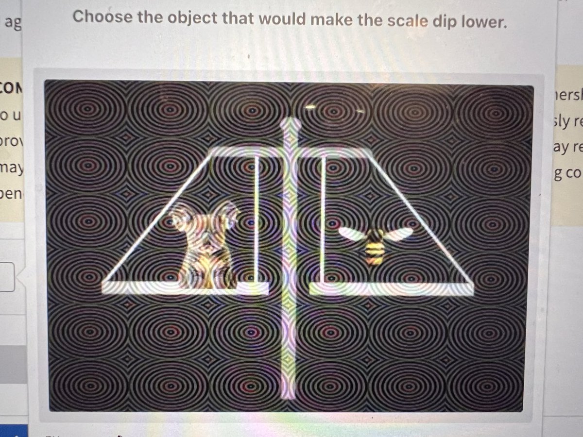 Never realized how fun it would be to prove that I'm human