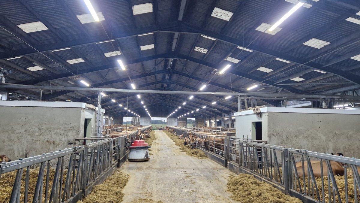 Edinvale Farm 🌱🐂 tweet media