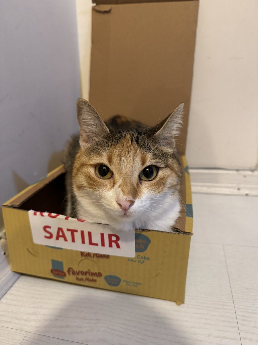 Kemdimi bim milyom tl’ye satıorm almak istiyen dm lüdfm