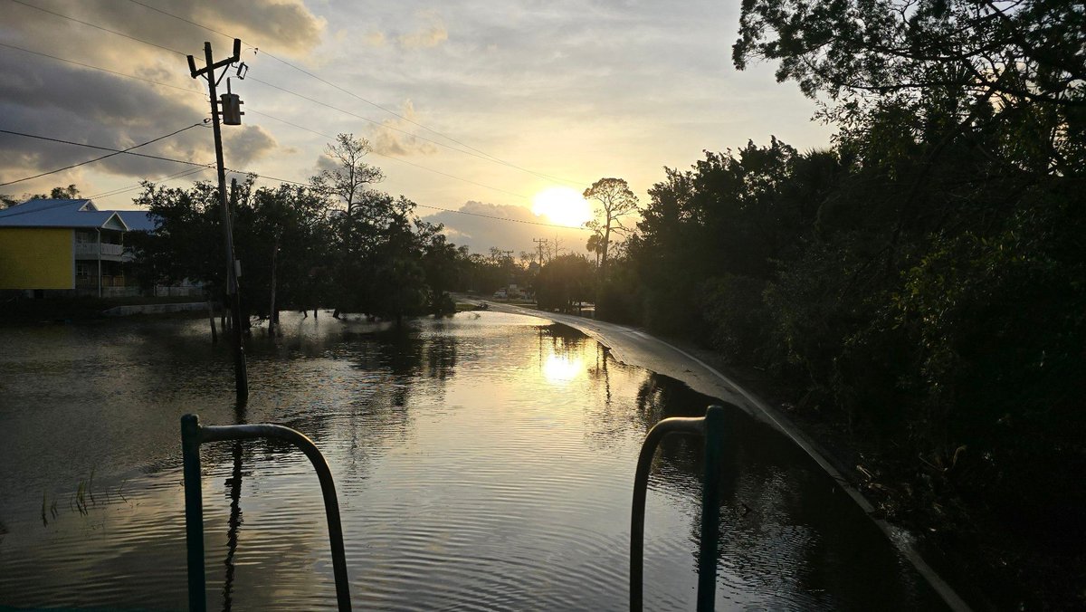 World Concern tweet media