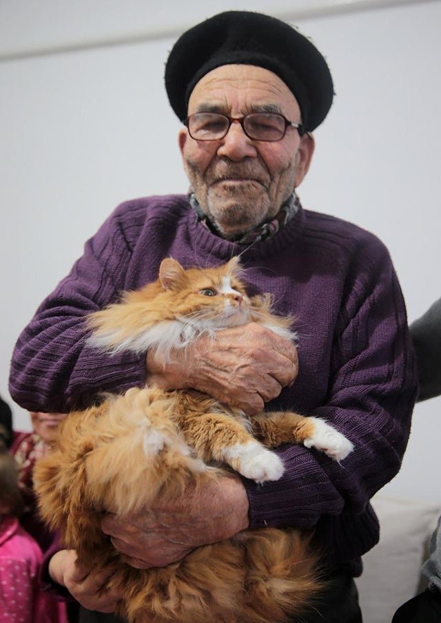 How it started                         how it's going