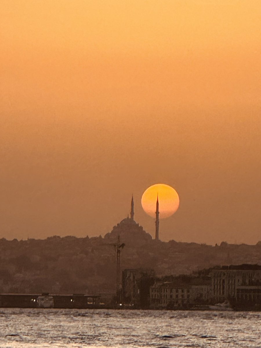 Lorena Vicente tweet media