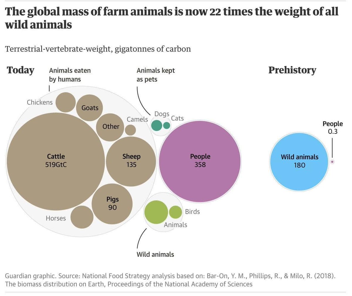 tsuga_wilson's tweet photo. @Thom_Hartmann Saving Wildlife &amp; Humans from Extinction. Protecting 50% of biosphere as wildlife reserves &amp; banning factory animal farms is only plan that might work. https://t.co/lRd4KBoGee