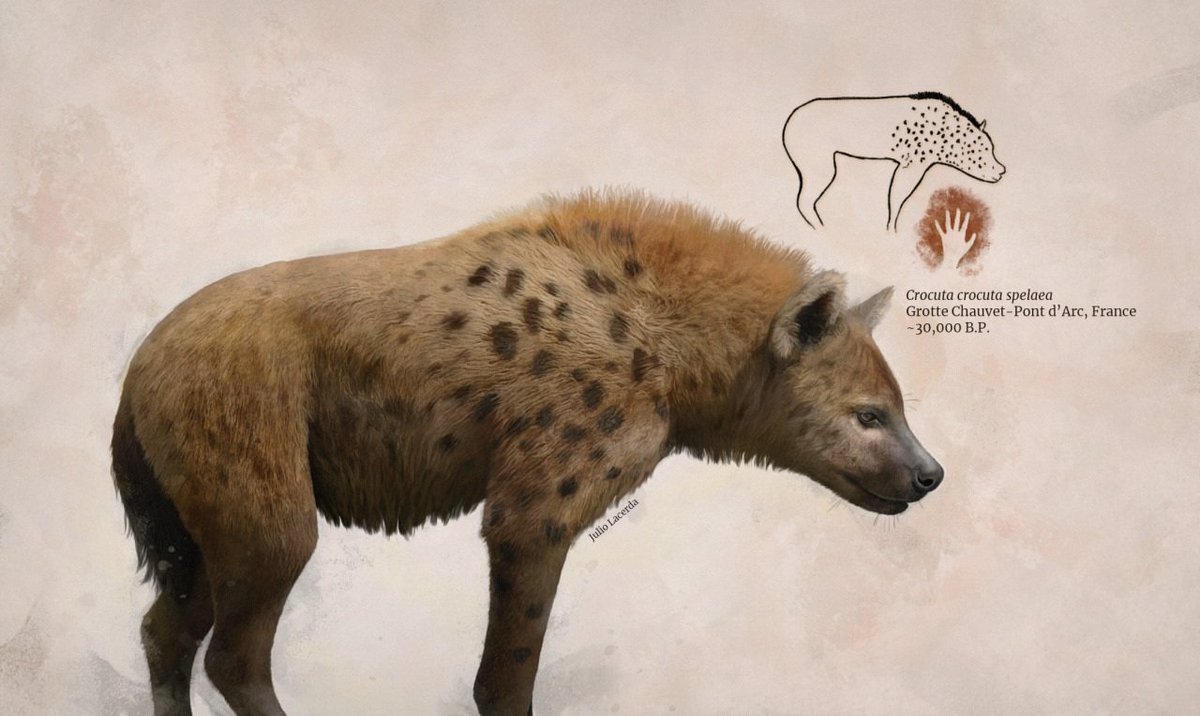 🦕 thegaminghyena 🦖 (🦣 #NewPleistocene arc 🦥) tweet media