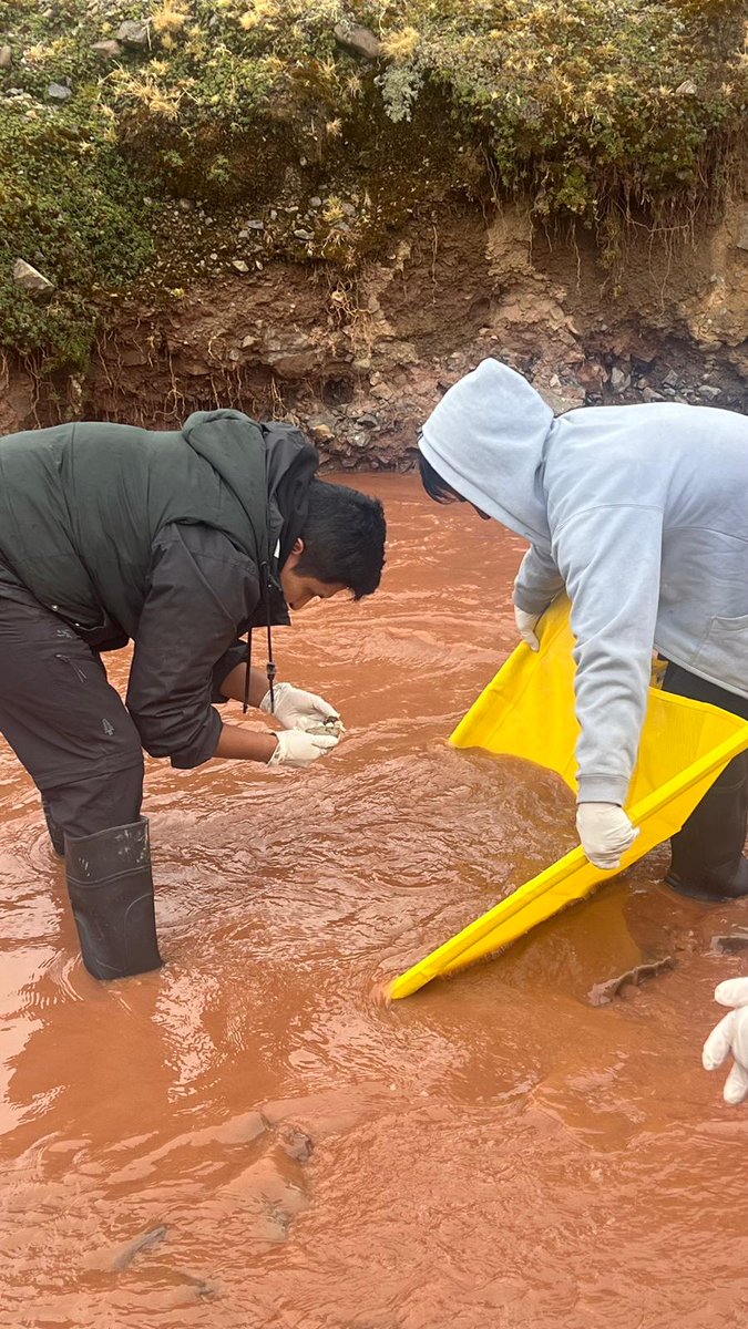 Comisión Episcopal de Acción Social tweet media