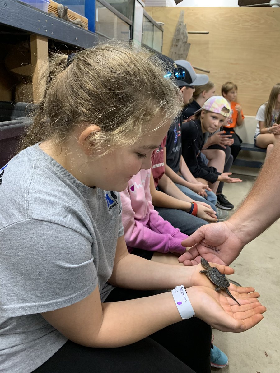 Holding turtles and snakes in herpetology class! #otsegoknights