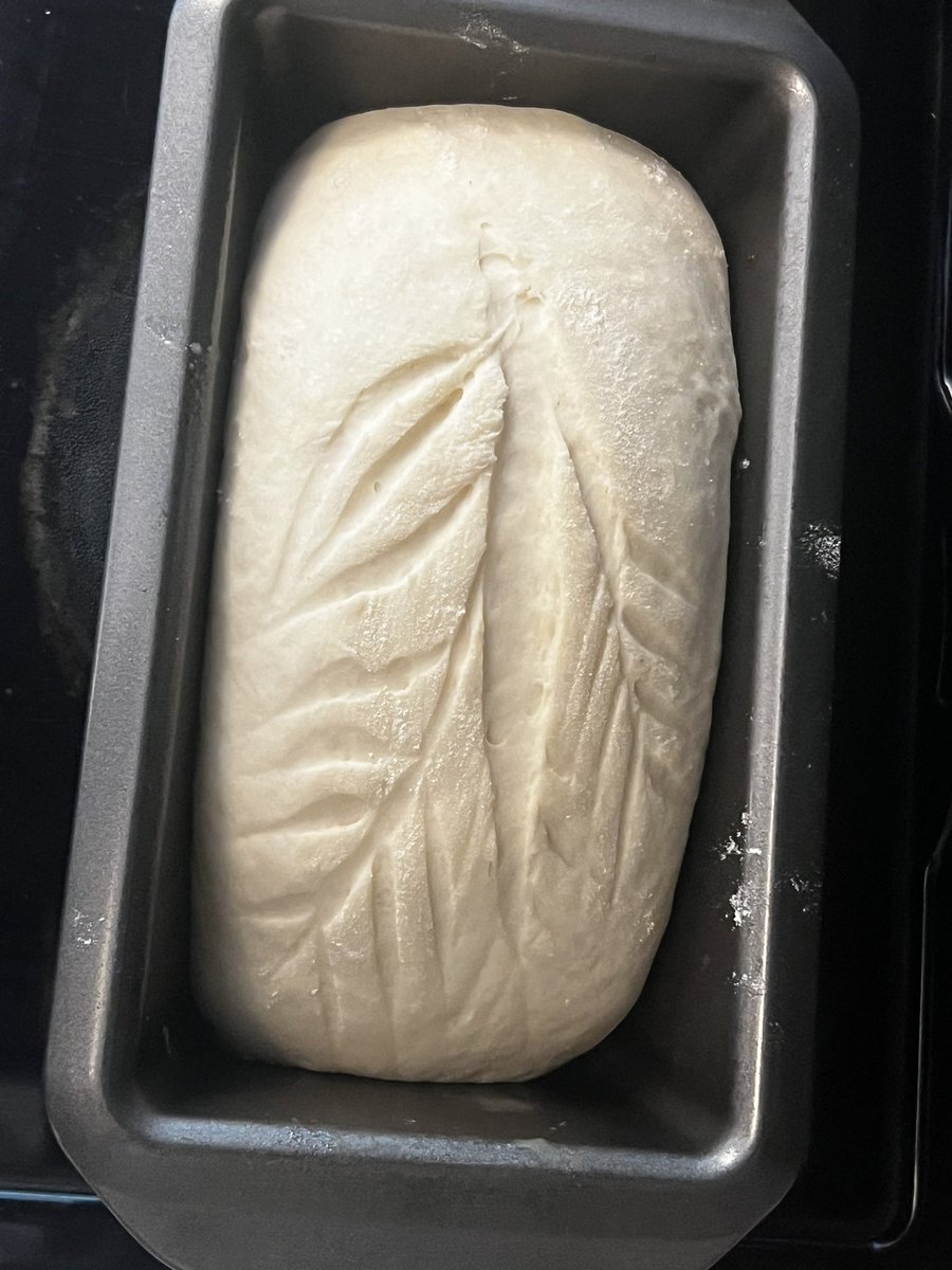 foxy_baking's tweet photo. Attempted to make pretty bread today
Anyone have tips?
#breadmaking #edtwt #bakingedtwt #anabaking https://t.co/Zo1YTTZAgQ