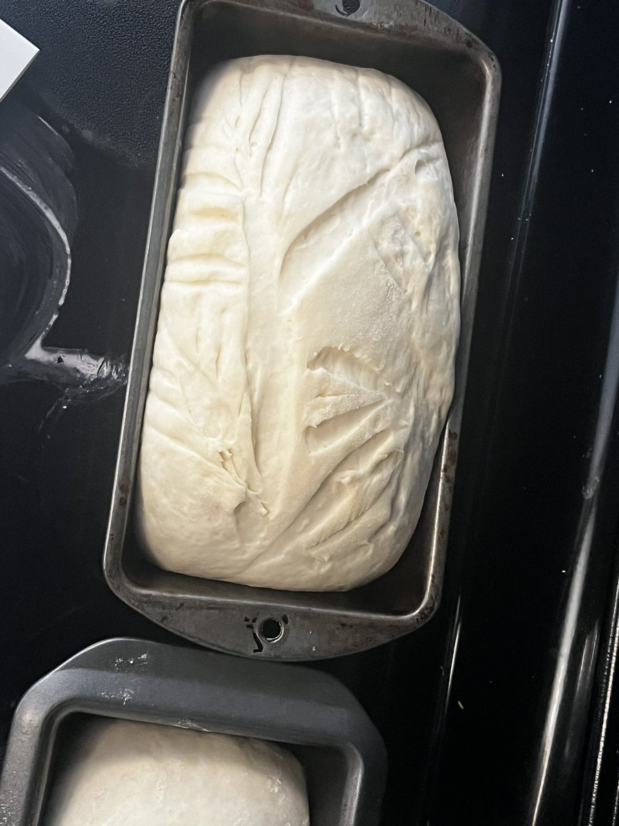 foxy_baking's tweet photo. Attempted to make pretty bread today
Anyone have tips?
#breadmaking #edtwt #bakingedtwt #anabaking https://t.co/Zo1YTTZAgQ
