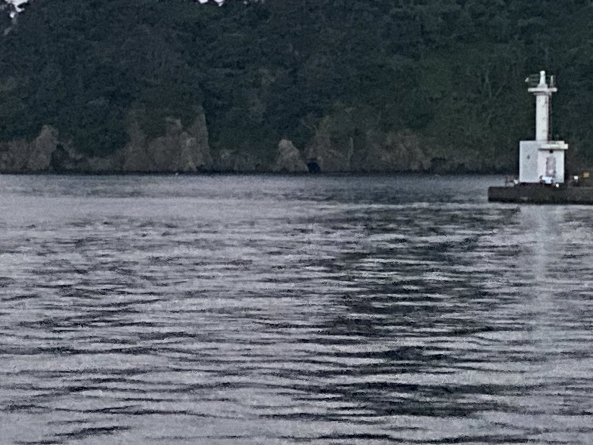 ゲゲゲno鬼太郎 tweet media