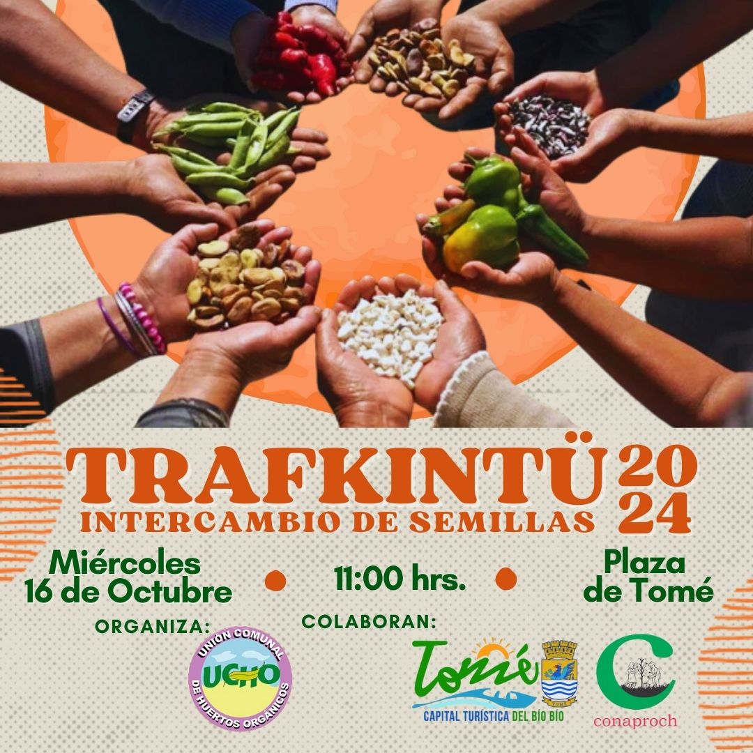 dsandovaln1's tweet image. Como todos los años, hace varios, este 16 de octubre se realizará un nuevo Trafkintu organizado por la UCHO de Tomé. Primero en la plaza y luego almuerzos para todxs en la sede. Quedan invitadxs.
#tomé #Concepción #biobio #Chile #semillas #penco #talcahuano