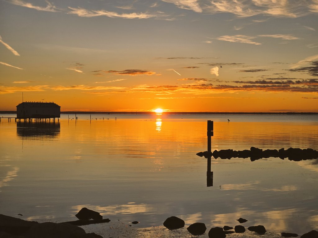 Leonostic's tweet photo. Been enjoying this new camera. Hard to capture the early morning serenity. #sunrise #NaturePhotography https://t.co/HW3NunorFb