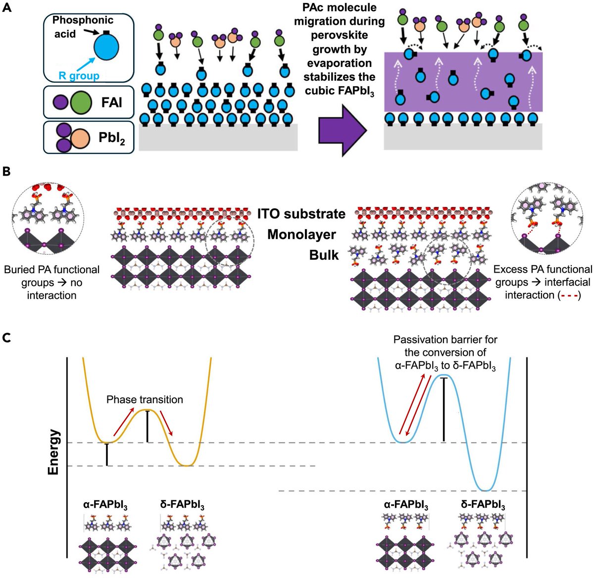 Juan-Pablo Correa-Baena (@jpcorreabaena) on Twitter photo 💡💡💡
Great write-up by <a href="/MMoralesMasis/">Monica Morales-Masis</a> <a href="/m3lab_/">M³ Optoelectronic Materials Group</a> published by <a href="/Matter_CP/">Matter_CP</a> on our recent <a href="/J_A_C_S/">J. Am. Chem. Soc.</a> publication where we unravel a mechanism to stabilize the cubic perovskite phase of pure FAPI.
Original article: pubs.acs.org/doi/full/10.10…
Preview: cell.com/matter/fulltex… 💡💡💡
Great write-up by <a href="/MMoralesMasis/">Monica Morales-Masis</a> <a href="/m3lab_/">M³ Optoelectronic Materials Group</a> published by <a href="/Matter_CP/">Matter_CP</a> on our recent <a href="/J_A_C_S/">J. Am. Chem. Soc.</a> publication where we unravel a mechanism to stabilize the cubic perovskite phase of pure FAPI.
Original article: pubs.acs.org/doi/full/10.10…
Preview: cell.com/matter/fulltex…