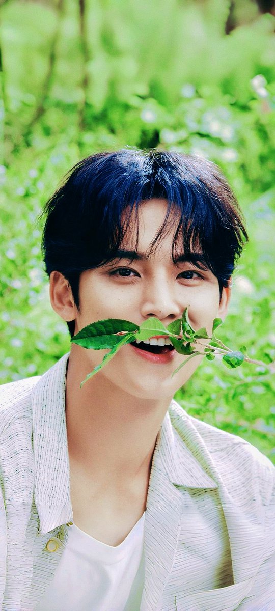 qimoainiya's tweet photo. 김민규🥺🥺🥺
📱벽지
Innisfree. https://t.co/7ge0MQ7PUf