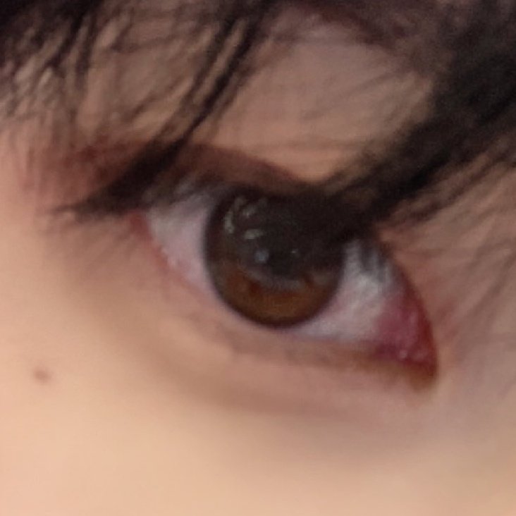 sdpsnoona's tweet photo. His eyes soooo pretty! 🤎✨ #이준혁 #LeeJunhyuk #StarlightBoys https://t.co/j4PfYAo5NG