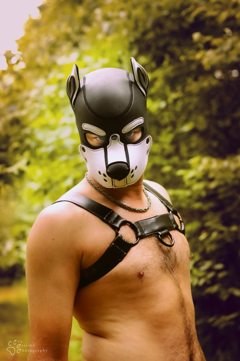 What a fierce looking pup but don’t let his look fool you he is 100% a good boy.