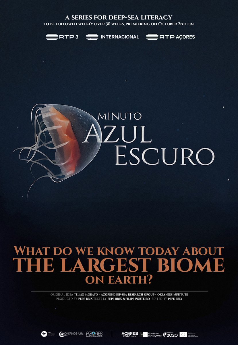 Azores Deep-Sea Research tweet media