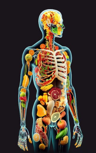 Los 24 mejores consejos de nutrición.

Créeme, esto no te lo enseñaron en la escuela:

- HILO 🧵 -