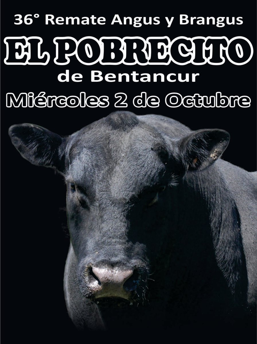 ¡Es HOY!  19:30 hrs VIRTUAL. Toda la info en dutrahermanos.com