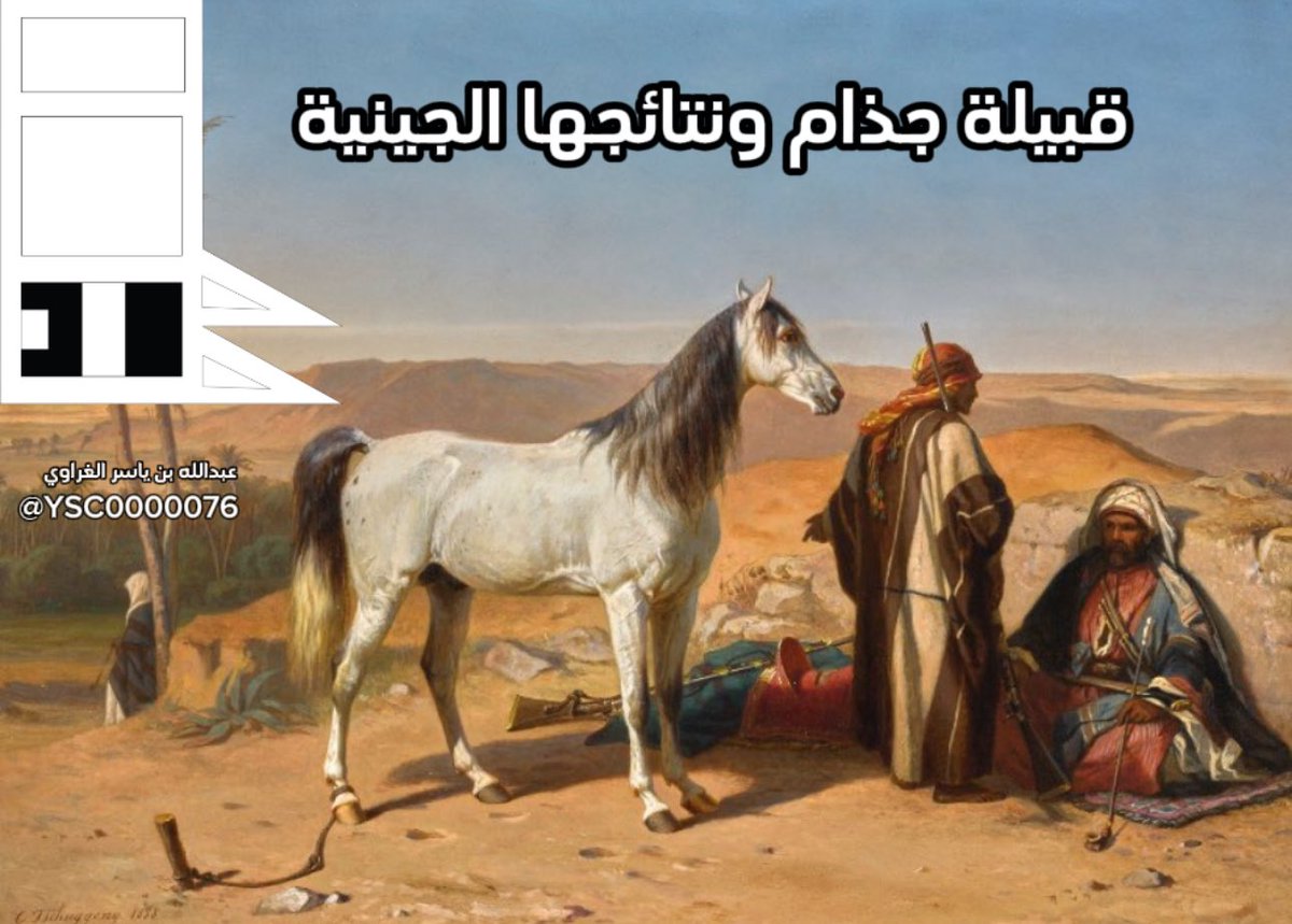 YSC0000076's tweet photo. قبيلة جذام ونتائجها الجينية
أولاً، نبدأ بنسب قبيلة جذام. يعود نسب جذام إلى عمرو بن عدي بن الحارث بن مرة بن أدد بن زيد بن يشجب بن عريب بن مالك بن زيد بن كهلان. وهذا هو قول وهب بن منبه، وابن الكلبي، وابن حزم، ومصعب الزبيري، وابن أبي خيثمة، والزبير بن بكار.
الأقسام الأساسية لقبيلة جذام:
ترجع جميع قبائل جذام إلى جدين أساسيين وهما: حرام وحشم.
أولاً: القبائل التي تنتسب إلى حرام من جذام
1.بنو بقر - أمراء جذام:
ذكرهم القلقشندي في كتابه نهاية الأرب في معرفة أنساب العرب وغيره من المصادر. نتائجهم الجينية جاءت على التحور FT462090 من YSC76.
2.بنو واصل:
قال الحمداني: “واصل مقرهم الشام، ووفدت طائفة منهم على المعز أيبك التركماني بالديار المصرية، وأقاموا بها، وبقيت بقيتهم بالشام”. نتائجهم الجينية جاءت على التحور ZS5604 من YSC76.
3.بنو هلبه:
هؤلاء بقوا على اسمهم منذ الجاهلية، وامتدت ديارهم من مصر إلى السودان. نتائجهم الجينية جاءت على التحور ZS1575 من YSC76.
4.بنو سعد (السعديين):
قال الحمداني: “اجتمع بمصر خمس سعود من جذام، واختلط بعضهم ببعض”. نتائجهم الجينية جاءت على التحور ZS1585 من YSC76.
5.العطويون:
يختلفون عن بني عطية المعاصرين. ذكر القلقشندي أن مساكنهم كانت في الحوف بالشرقية في الديار المصرية. نتائجهم الجينية جاءت على التحور ZS1575 من YSC76.
6.الغتاورة:
قال الحمداني: “الغتاورة، ويقال لهم أولاد طوّاح المكوس”. نتائجهم الجينية جاءت على التحور ZS1575 من YSC76.
7.أولاد غياث:
قال الحمداني: “بني غياث بن عصمة بن نجاد بن هلبا بعجة”. نتائجهم الجينية جاءت على التحور Y488995 من YSC76.
8.بنو عطية:
ذكرهم الجزيري، ديارهم اليوم في شمال الجزيرة العربية وجزيرة سيناء. نتائجهم الجينية جاءت على التحور Y125209 من YSC76.
9.الحويطات:
ذكرهم الجزيري وغيره، وديارهم اليوم في شمال الجزيرة العربية وجزيرة سيناء. نتائجهم الجينية جاءت على التحور BY207588 من YSC76.
10.أولاد حميد:
ذكرهم القلقشندي أن الحميديين بطن من هلبا سويد، من بني زيد بن حرام. نتائجهم الجينية جاءت على التحور ZS6806 من YSC76.
11.بنو عقبة:
حافظوا على مسماهم القديم، ويتفرع منهم اليوم بنو واصل. جاء ذكر الشواكر، كما ذكر القلقشندي بني شاكر بخوف الديار المصرية (من الشرقية)، وهم بطن من بني راشد من عقبة من مجربة من حرام من جذام. كما ذكر الجزيري العقالات: “عقال هذا أبو طائفة يقال لها العقالات، وهو أصل من أصول بني عقبة، جد العمرو، المناصير، والمسالمة”. عقال بن عمرو. نتائجهم على التحور ZS5604 من YSC76.
12.بنو عائذ:
ذكرهم ابن خلدون، وهم ما بين بلبيس (من أعمال مصر) إلى عقبة إيلة وصولًا إلى الكرك في فلسطين. نتائجهم الجينية جاءت على التحور FT156054 من YSC76.
13.التياها - بني تيه:
ذكرهم المقريزي، وهم بطن من جذام. نتائجهم الجينية جاءت على التحور Y154284 من YSC76.
14.الحسنيون أو الحساونة:
ذكرهم الحمداني بأنهم أولاد الحسن بن هلبا. نتائجهم الجينية جاءت على التحور ZS1575 من YSC76.
15.الجواشنة:
قال الحمداني: “وهم بنو جوشن بن منظور بن بعجة، صاحب السراة، المضروب به المثل في الكرم والشجاعة”. نتائجهم الجينية جاءت على التحور ZS1585 من YSC76.
16.بنو زهير:
قال الحمداني: “أكثرهم بالشام، والذين منهم بمصر امتزجوا ببني زيد بن حرام بن جذام، المقدم ذكرهم، وهم عرب الحوف إلى ما يلي أشموم الرمان”. نتائجهم الجينية جاءت على التحور FGC49230 من YSC76.
17.بنو وهدان:
ذكرهم القلقشندي بأنهم من عرب جبل عوف. نتائجهم الجينية جاءت على التحور ZS1588 من YSC76.
18.الترابين:
ذكرهم الجزيري وغيره، وتمتد ديارهم من فلسطين إلى جزيرة سيناء في مصر. نتائجهم الجينية جاءت على التحور ZS5603 من YSC76.
ثانيًا: القبائل التي تنتسب إلى حشم من جذام
1.المغاورة:
ذكرهم الحمداني بأنهم من بني مهدي من جذام. نتائجهم الجينية جاءت على التحور ZS5907 من YSC76.
2.بنو خالد:
ذكرهم الحمداني بأنهم من بني مهدي من جذام. نتائجهم الجينية جاءت على التحور ZS5907 من YSC76.
3.بنو عطا:
ذكرهم الحمداني بأنهم من بني مهدي من جذام. نتائجهم الجينية جاءت على التحور ZS5907 من YSC76.
4.بنو عياض:
وإليهم تُنسب قرية بني عياض. ذكرهم الحمداني بأنهم من بني مهدي من جذام. نتائجهم الجينية جاءت على التحور ZS6438 من YSC76.
قال الحمداني: “وهؤلاء بني مهدي، ديارهم بالبلقاء، إلى بارين، إلى الصوَّان، إلى علم أعفر.”
كما ذكر أن “حول الكرك منهم بني داود.
هذه القبائل التي اطّلعت على نتائجها، وهي أكبر وأشهر القبائل الجذامية التي حافظت على النسب الجذامي. وهناك غيرهم من القبائل الجذامية جاءت نتائجها على ذات التحور،لم تُذكر لكثرتها.
كتبه: عبدالله بن ياسر الغراوي