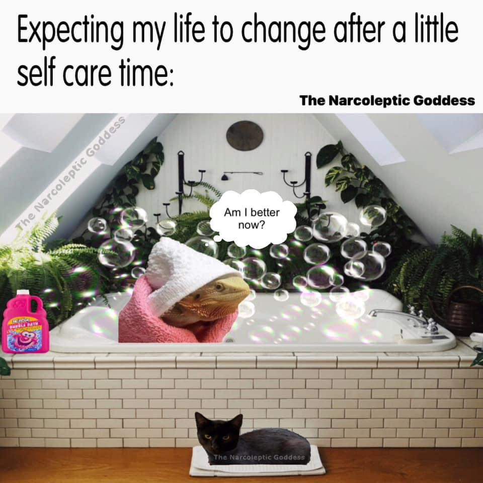 Bethan Beaver tweet media