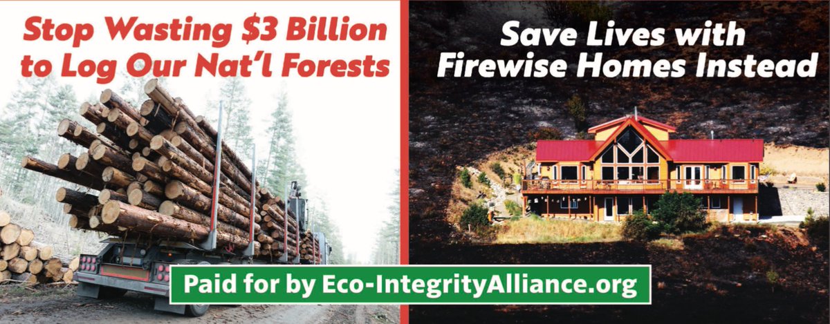 tsuga_wilson's tweet photo. @NatResources https://t.co/yPiyeTwjti