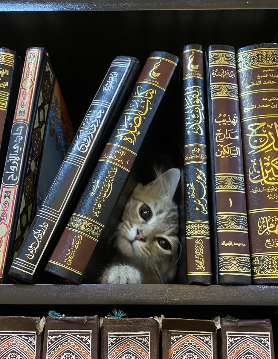 يبدو أنّ أحدهم غَرَق في العلم.