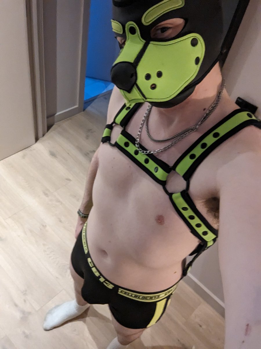EncodedCypher's tweet image. Evening pups any good boys want to get on their knees?
#pup #pupplay #kink #nsfw