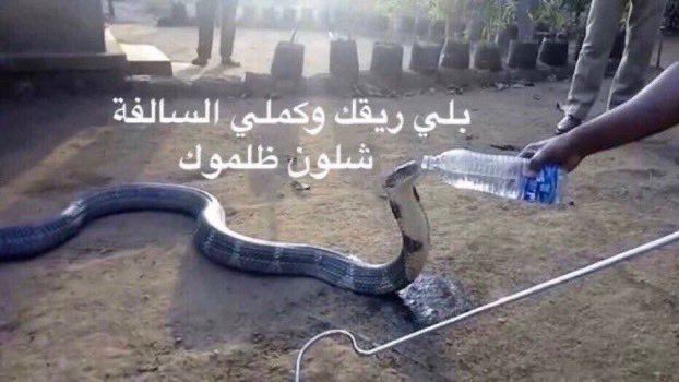 Cj_ANAS's tweet photo. @mofauae https://t.co/T4uOQ6yLKp