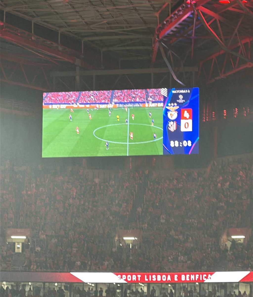 Nunca, mas nunca desrespeitem o Benfica Europeu

Esta é a nossa casa. Este é o nosso habitat

O habitat do Gigante Europeu Sport Lisboa e Benfica

Que lindo é 🔴⚪️

LV