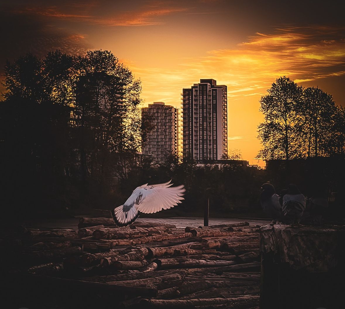 There’s nothing better than slow mornings walking along the river, taking in the fresh air and wildlife.

📸 IG: @verticalpathway

#RiverDistrictVancouver
