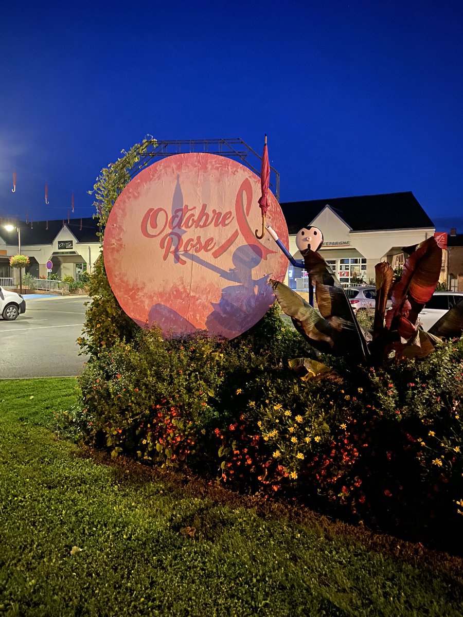 Sarry en Rose en octobre avec la municipalité, les commerces et associations. <a href="/DptMarne/">Département Marne</a> 
<a href="/Happycurien/">À demi-M@ux❤️..</a> #OctobreRose <a href="/Chalonsenchamp/">Chalons-en-Champagne</a>  @SitacChalons <a href="/_lunion/">L'union</a>  <a href="/hebdoduvendredi/">L'Hebdo du Vendredi</a> 
Samedi et dimanche de nombreuses animations à découvrir et partager ! 🎀