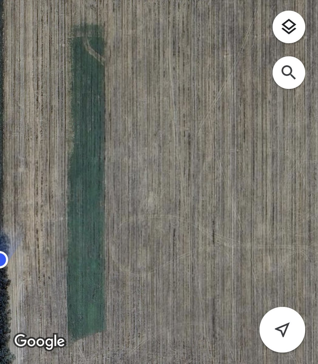 Notice a weak strip in a roadside wheat crop yesterday. 
👀 at phone map
Great impromptu demo of the value of stored soil water and modern conservation farming techniques in Aus Ag.