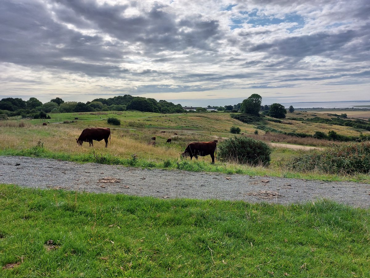 I've spent many an hour taking much needed walks in this open space but sadly its tranquility is under threat from people wanting to build on the surrounding farmland. Please help if you can
chng.it/mR8567ttH6