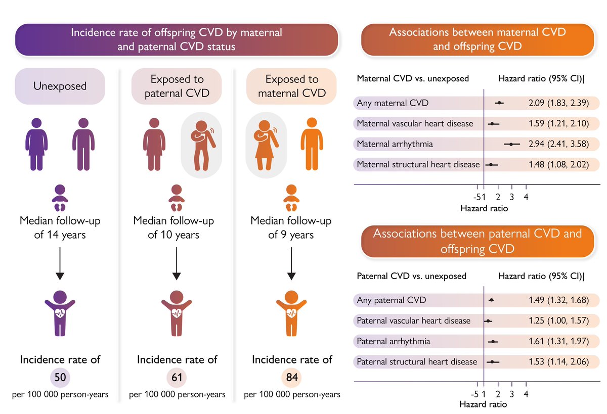 ehj_ed's tweet photo. Pre-existing maternal cardiovascular disease and the risk of offspring cardiovascular disease from infancy to early adulthood. Discover more in #EHJ:
https://t.co/4vq8wbwsJj
#CVD #pregnancy #offsprings @escardio @ESC_Journals https://t.co/noPHTFiiWn