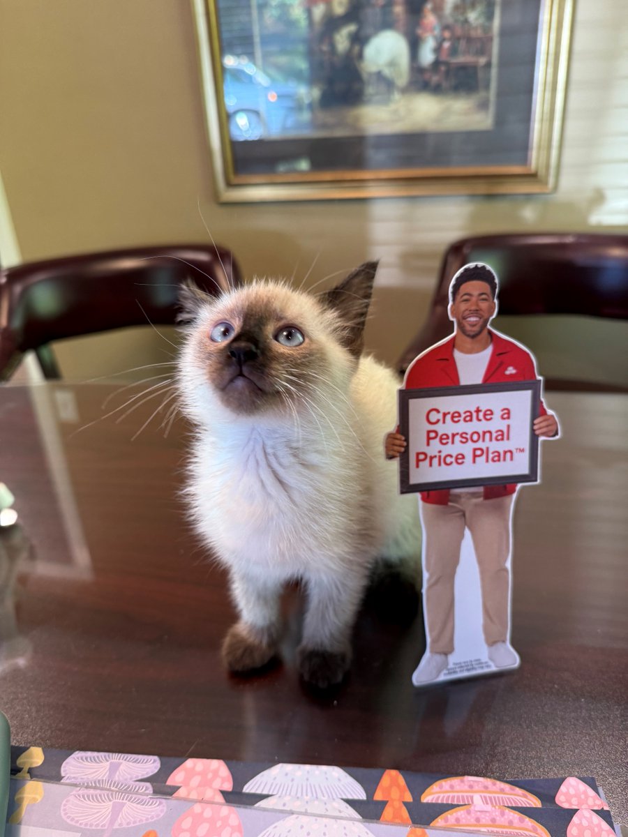 Johnsennazareth's tweet photo. It's always an exciting day at the office when our team members get new pets. Fern came in to make sure she got the best coverage with Trupanion!
#sewickleyinsurance #johnseninsuranceandfinancialservices #petinsurance https://t.co/dtrdlTXFee