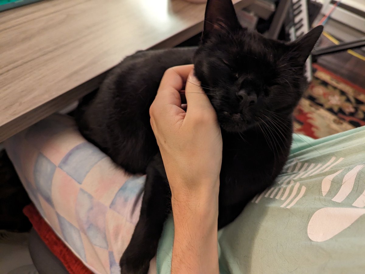 tipsheda's tweet photo. Imma try taking a break from Twitter for a bit. Join me on other platforms. Pics unrelated

Bsky: https://t.co/5ib2vvuHTI
Instagram: https://t.co/D9yKnJUVCg
Mastodon: https://t.co/zDjfopvQBN
Tumblr: https://t.co/7sO7ecot7T https://t.co/4uZ9fz4fsW