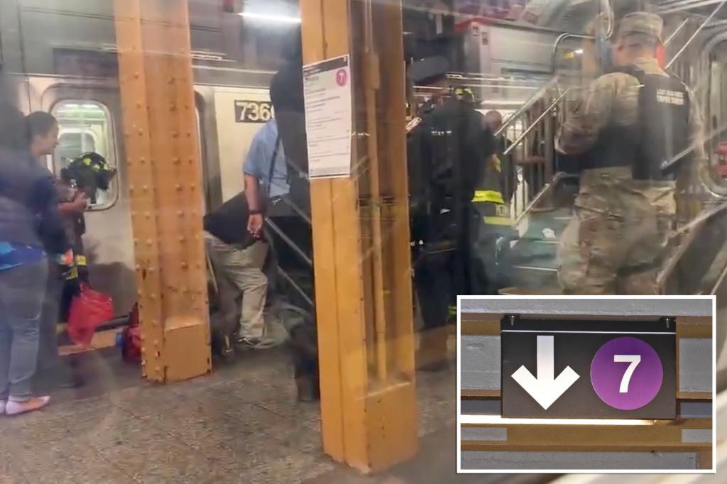 nypost's tweet photo. Stranger shoves 82-year-old woman onto NYC train tracks in latest random attack https://t.co/AkmOAYq2O5 https://t.co/5F89cDOpcH