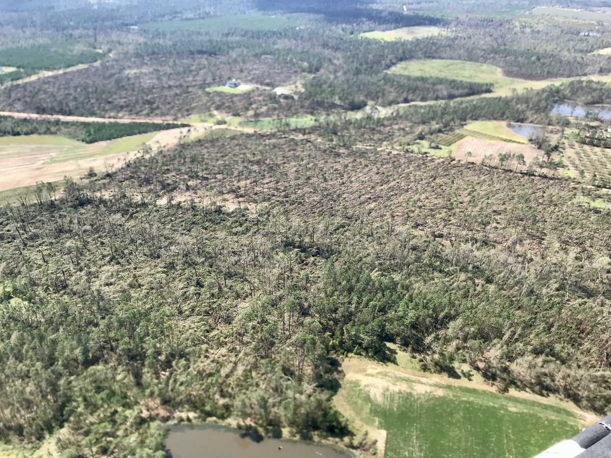 GAForestryCommission tweet media