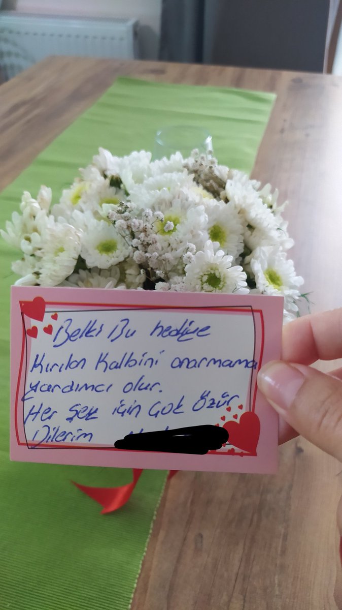 Bu çiçeği gönderen arkadaş ne yapmış olabilir?
A ) Aldatmış 
B ) Doğum gününü unutmuş 
C ) Haksız yere yükselip  hakaret etmiş