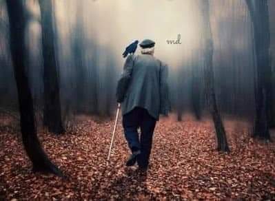 SaleemUllah_Kaleem tweet media