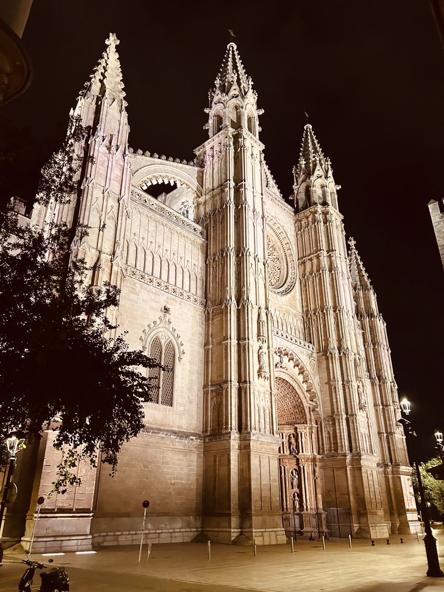 La Seu, Palma. Magnificent!