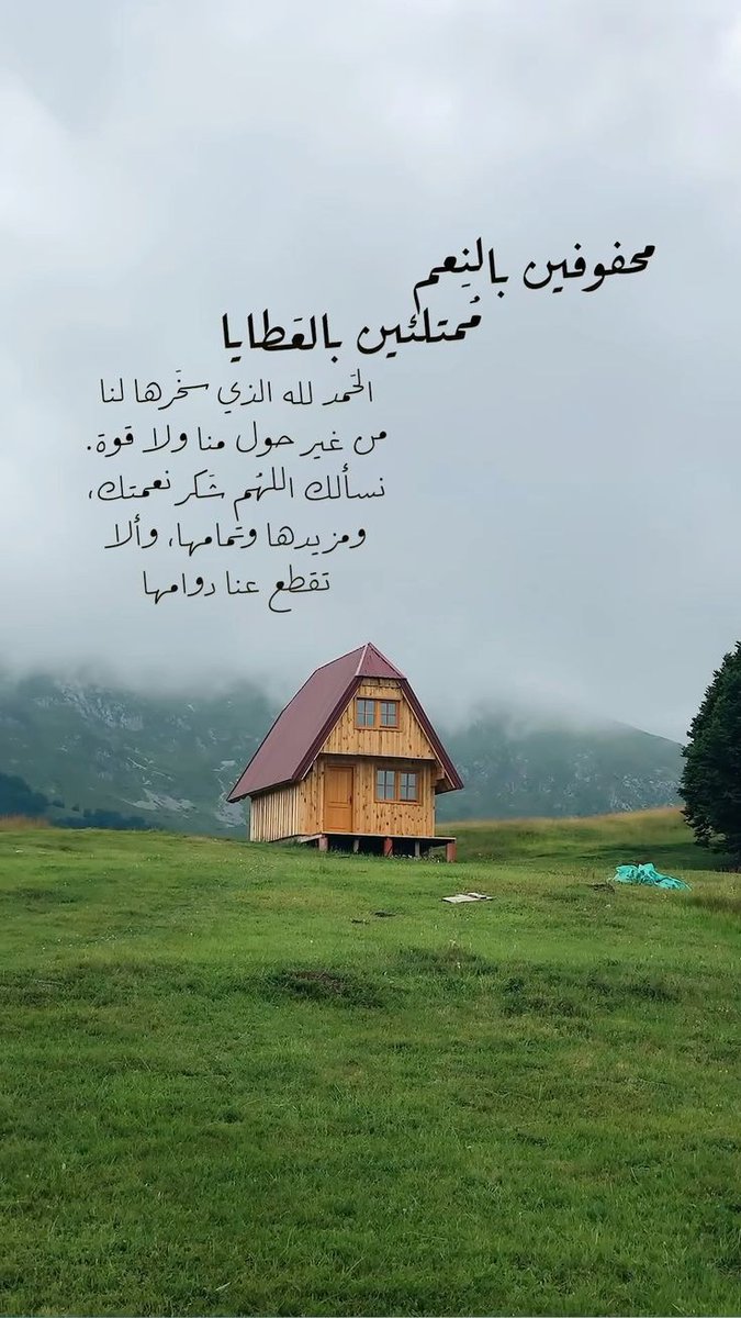 نُسَيبة (@nosaibayoussef) on Twitter photo 