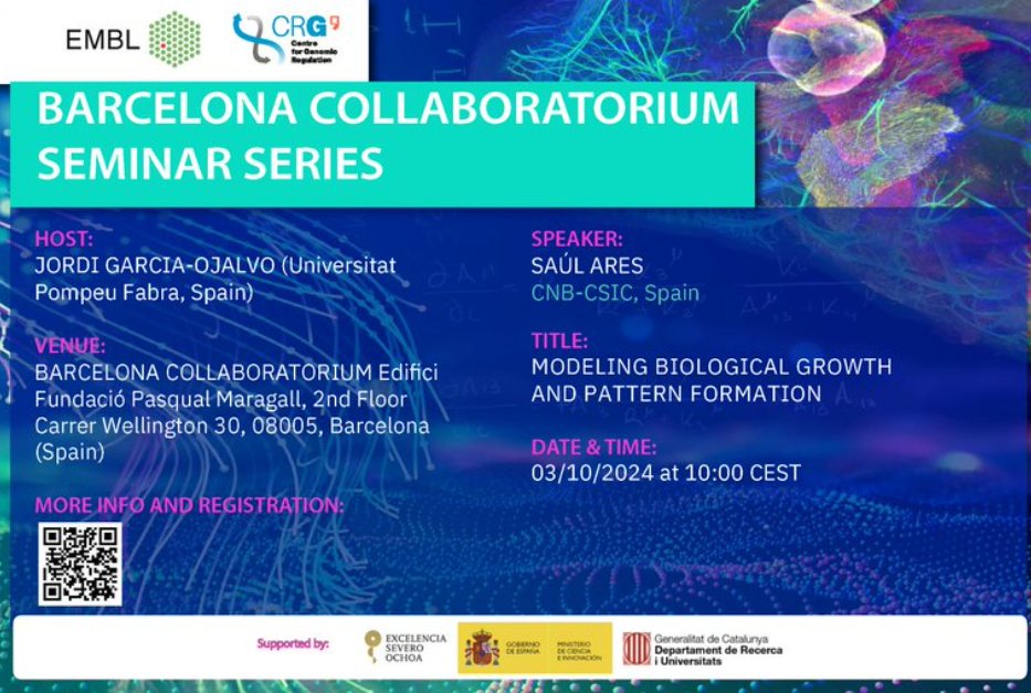 complexitat.cat (@complexitatcat) on Twitter photo At least two seminars tomorrow in BCN,
<a href="/omeuxeito/">Saúl Ares</a> and <a href="/joefresna/">Giovanni Reina</a>
Different times, different places, different complexity, no overlap!
A very complex day!
<a href="/BCNCollab/">Barcelona Collaboratorium</a> <a href="/Romu_PS/">Romualdo Pastor-Satorras</a> <a href="/FisicaUB/">Facultat de Física UB</a> x.com/Romu_PS/status… At least two seminars tomorrow in BCN,
<a href="/omeuxeito/">Saúl Ares</a> and <a href="/joefresna/">Giovanni Reina</a>
Different times, different places, different complexity, no overlap!
A very complex day!
<a href="/BCNCollab/">Barcelona Collaboratorium</a> <a href="/Romu_PS/">Romualdo Pastor-Satorras</a> <a href="/FisicaUB/">Facultat de Física UB</a> x.com/Romu_PS/status…