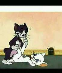 عمك توم tweet media