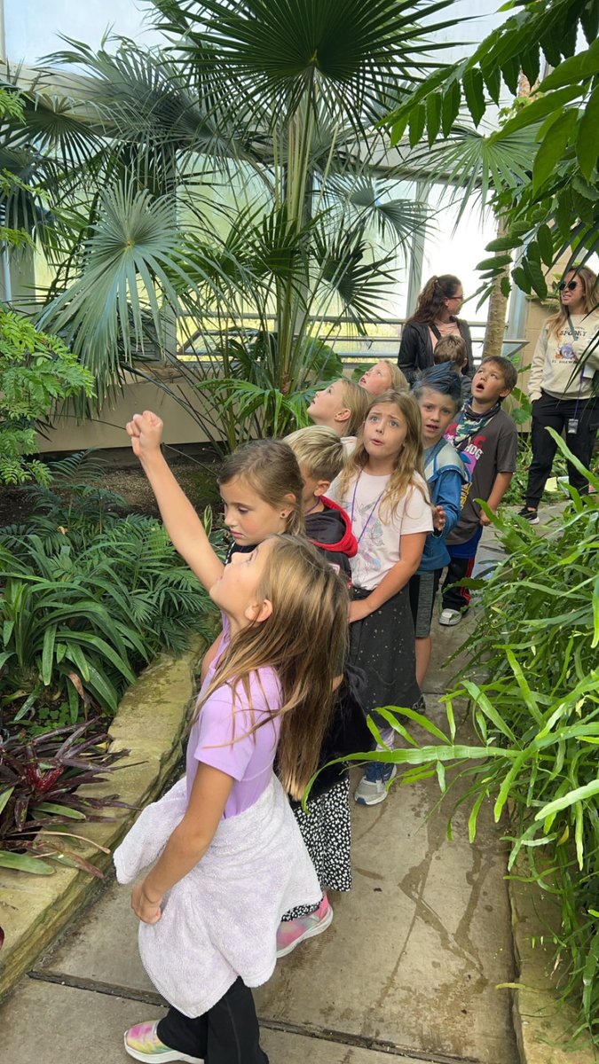 Kate Neigebauer CES tweet media