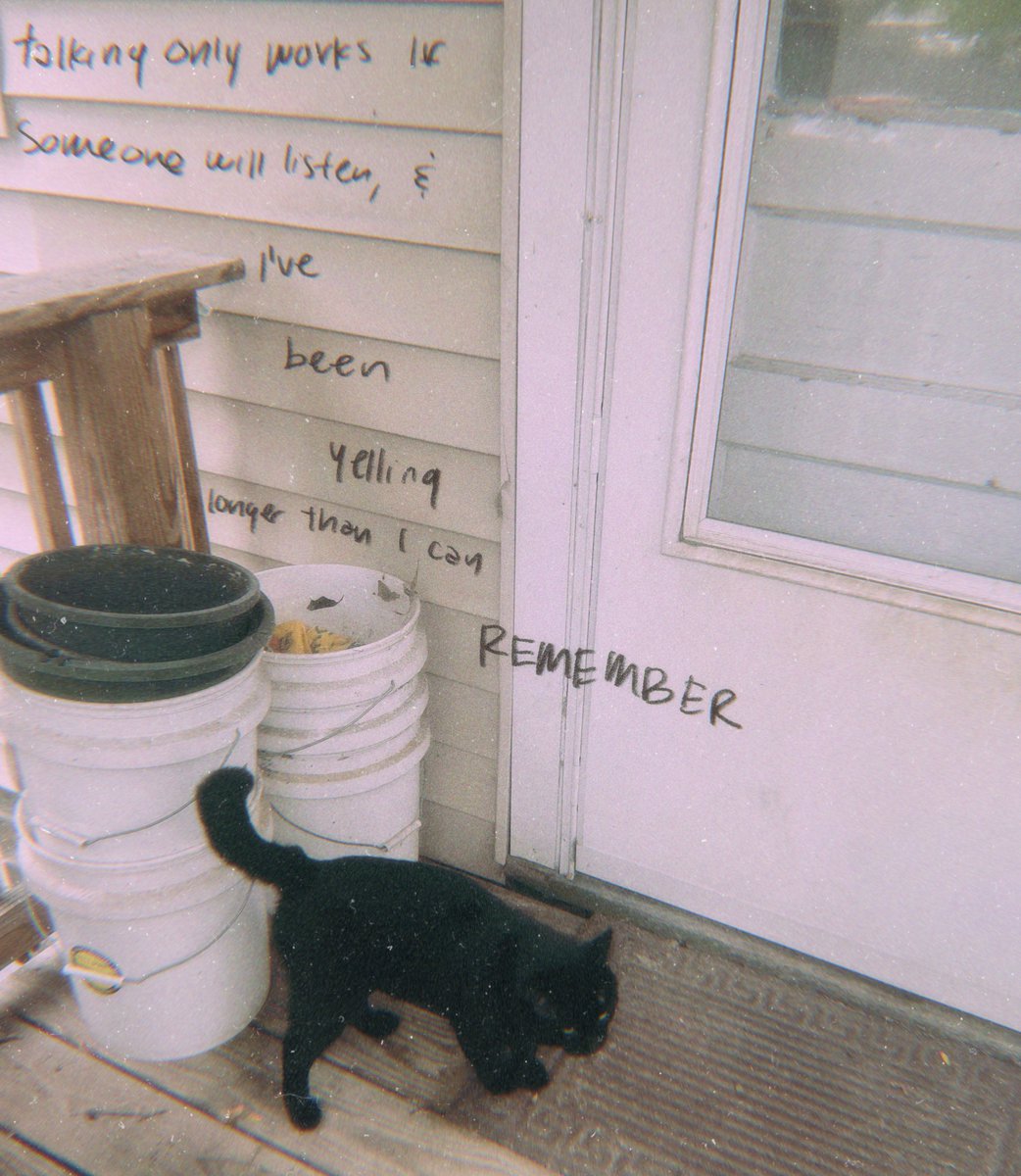 Wolfe 🩸🪳 UPDATES ONLY tweet media